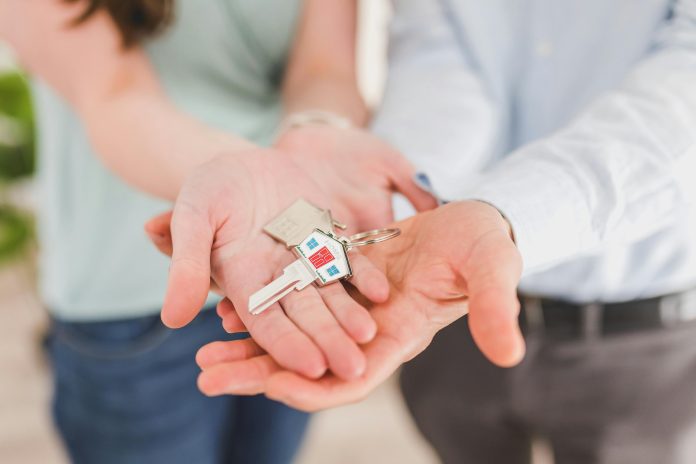 What Is a Building and Pest Inspection and Do You Need One?